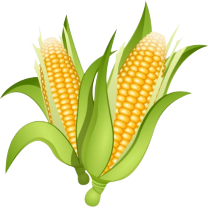 Jagung